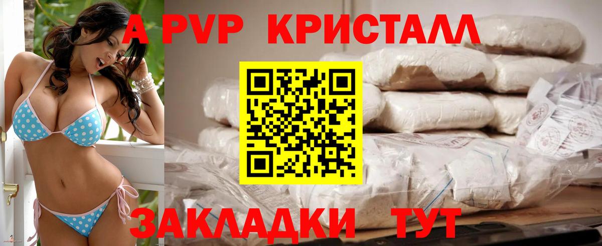 A PVP СК КРИС Междуреченск